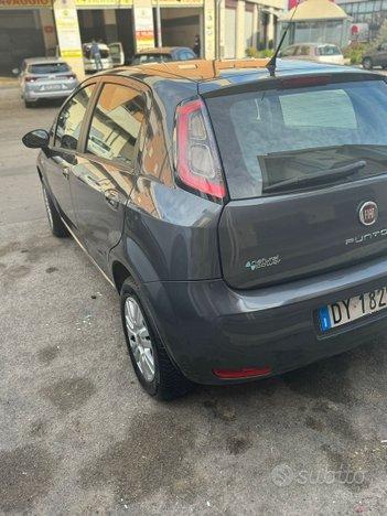 Fiat punto benz/matano