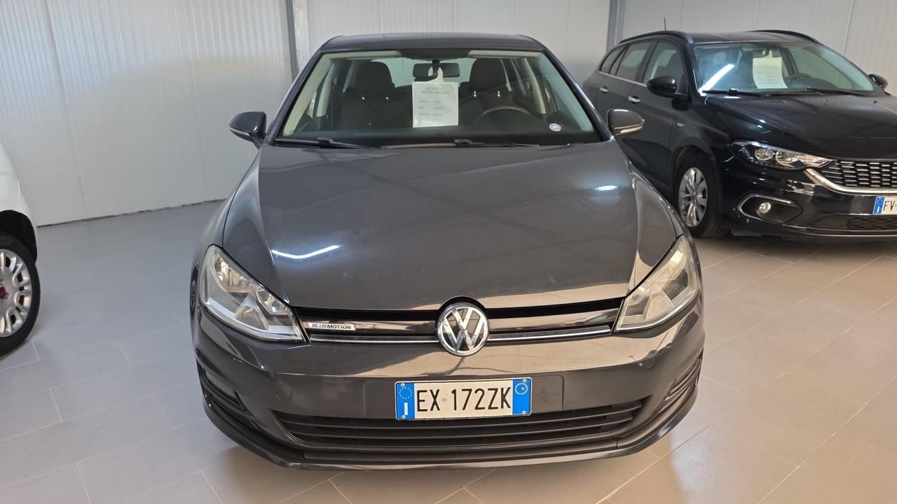 Volkswagen Golf 1.4 TGI 5p. Comfortline BlueMotion