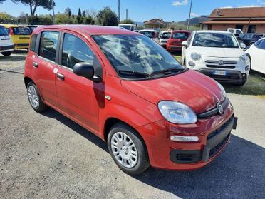FIAT Pandina PANDA MY26 1.0 65CV HYBRID ICON