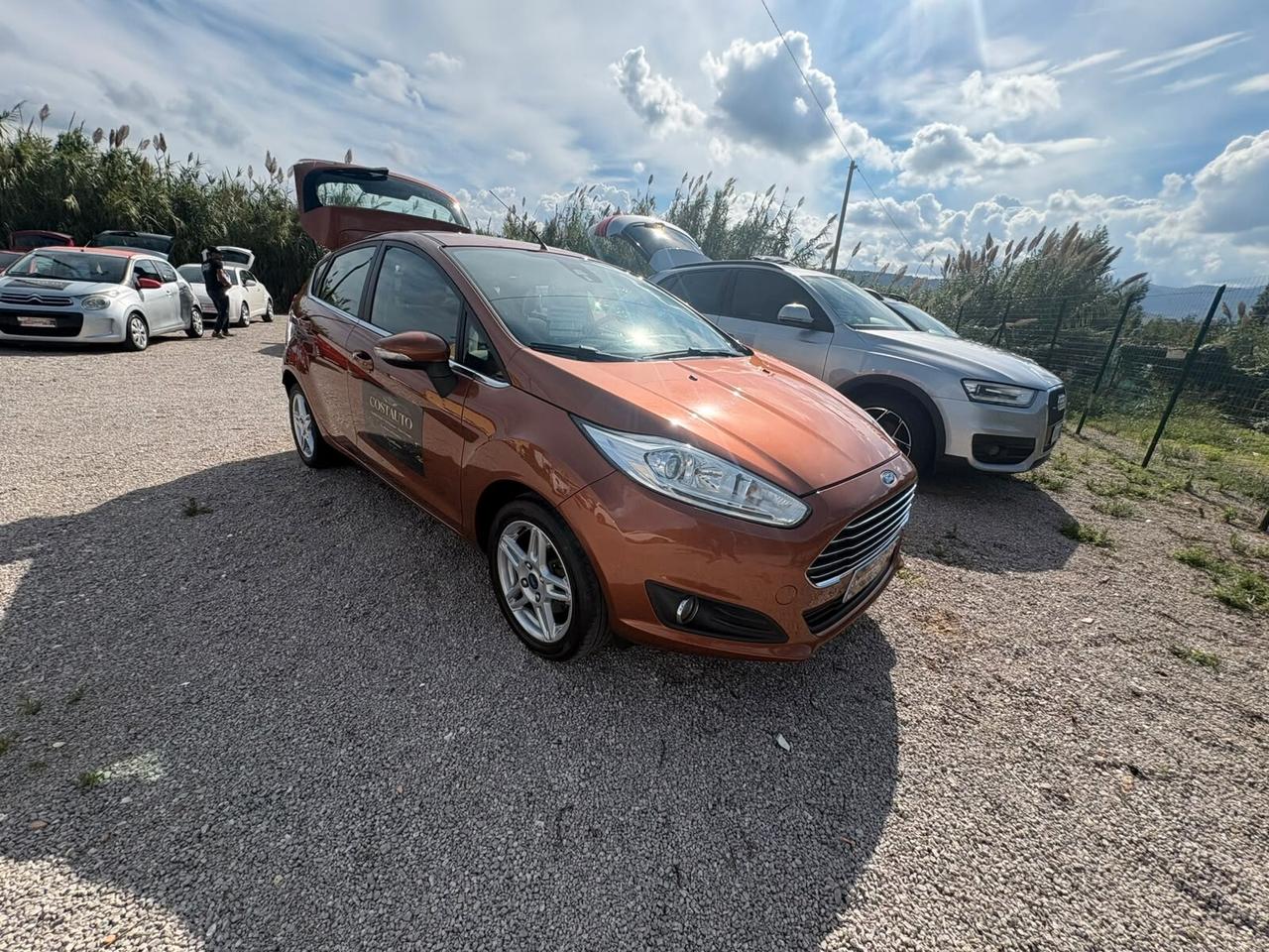 Ford Fiesta 1.0 EcoBoost 100CV 5 porte Powershift Titanium