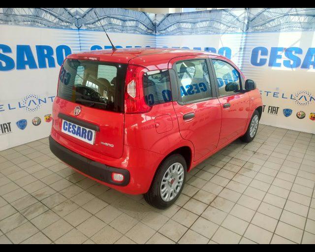 FIAT New Panda 1.0 firefly hybrid 70cv 5 posti