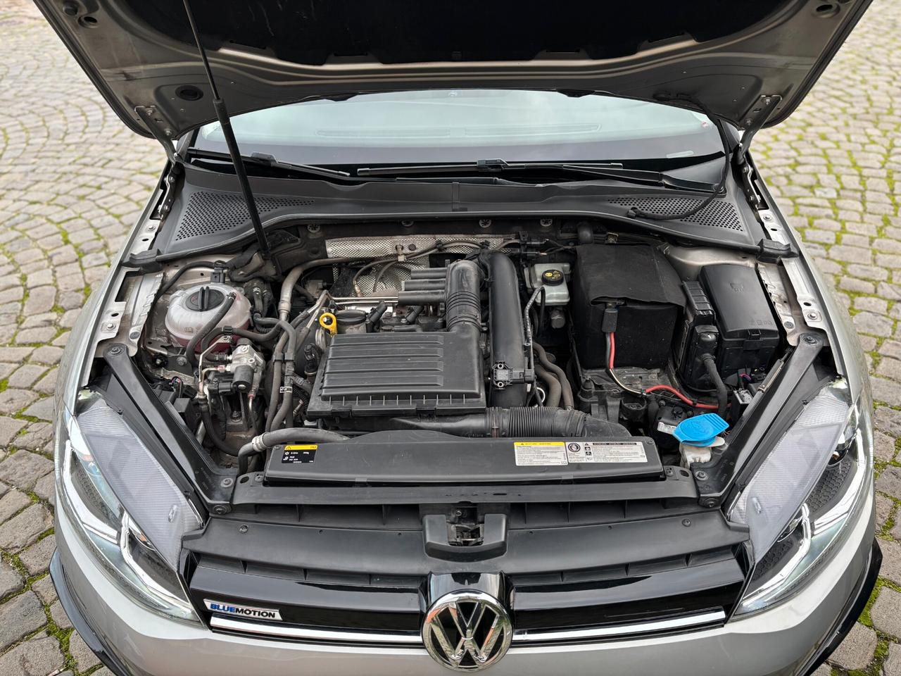 Volkswagen Golf 1.4 TGI 5p. Highline BlueMotion