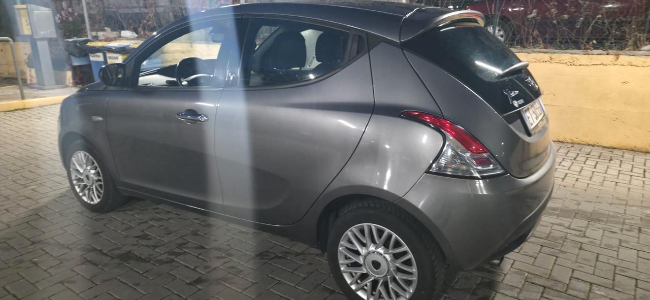 Lancia Ypsilon 1.3 MJT 16V 95 CV 5 porte S&S Platinum