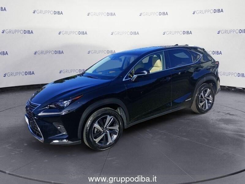 Lexus NX I 2018 300h 2.5 Luxury 4wd cvt