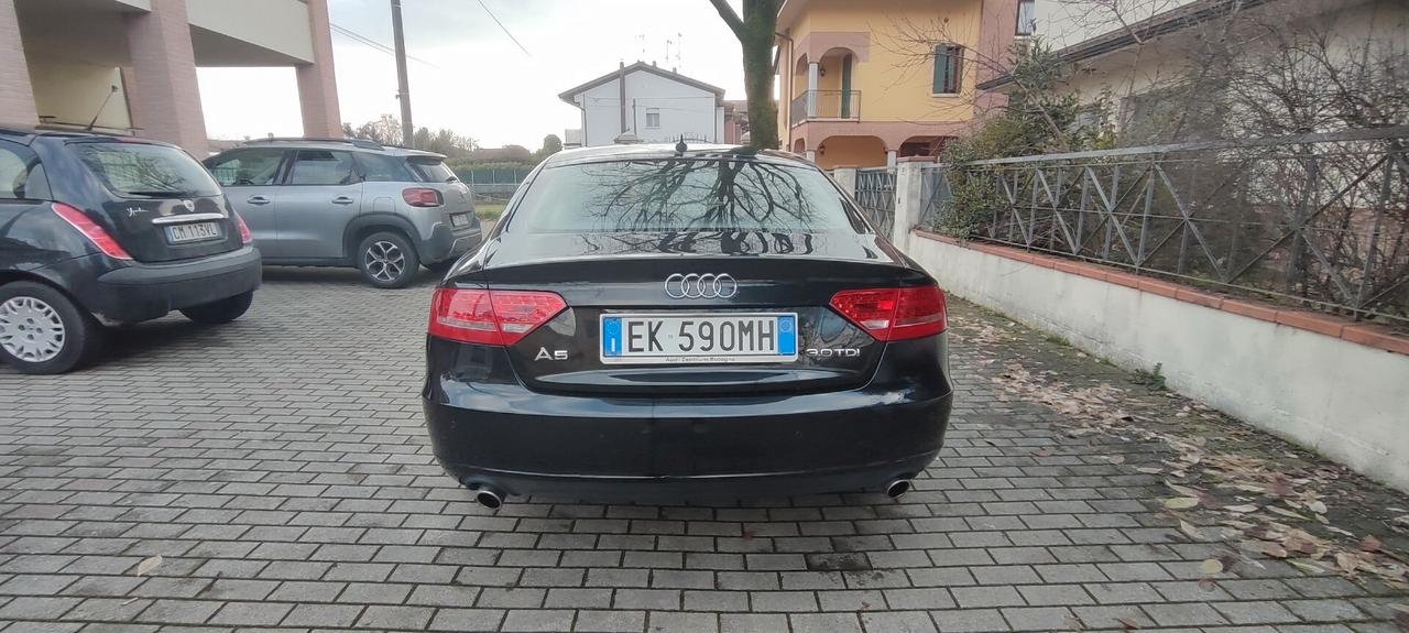 Audi A5 SPB 2.7 V6 TDI F.AP. multitronic