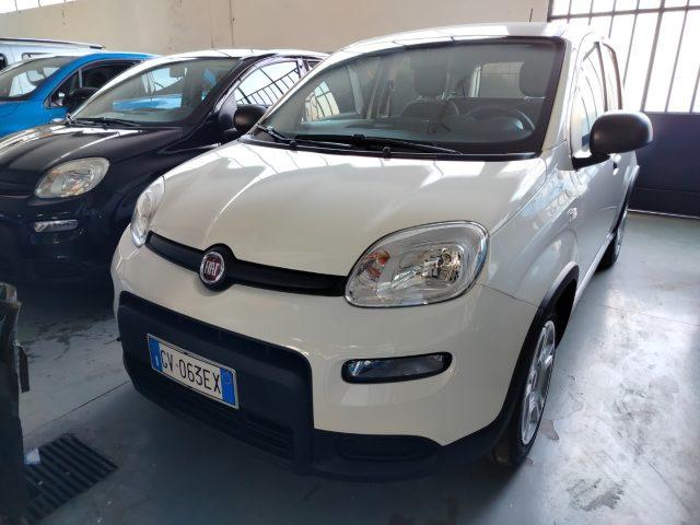 FIAT Panda 1.0 FireFly S&S Hybrid km 2.000