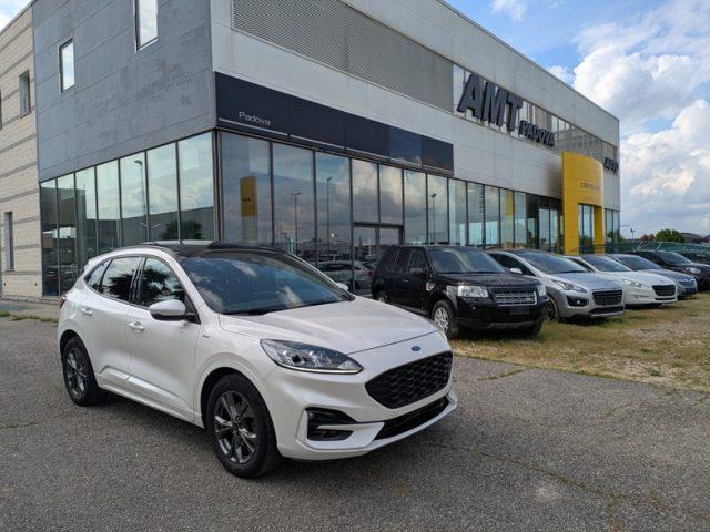 FORD Kuga 1.5 EcoBlue 120 CV aut. ST-Line