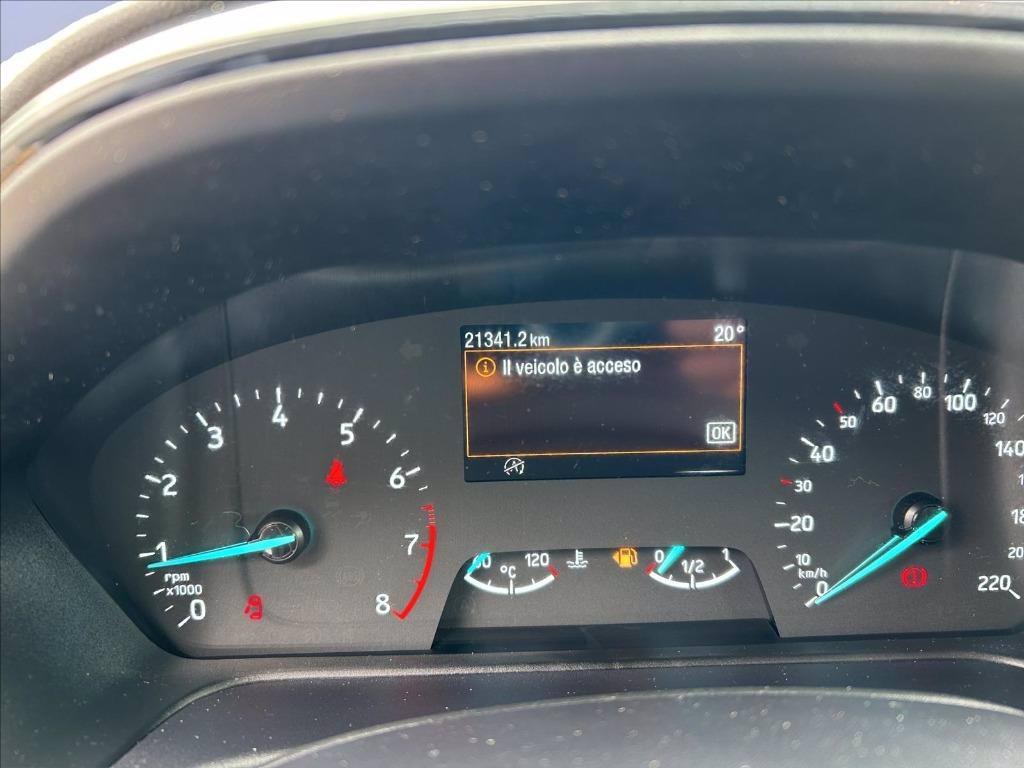 FORD Fiesta Active 1.0 ecoboost h 125cv del 2023