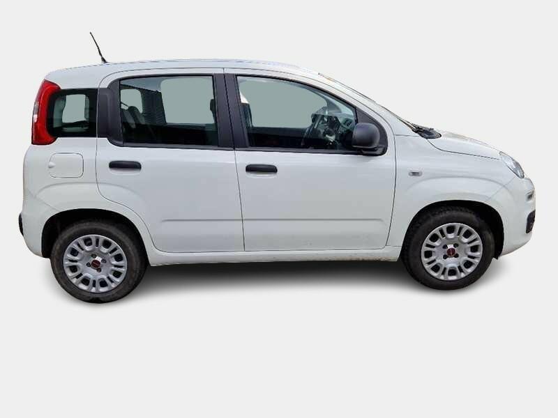 FIAT PANDA 1.2 69cv S/S E6d-Temp Easy 5 PORTE