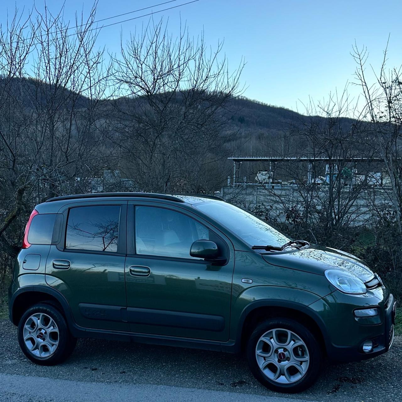 Fiat Panda 1.3 MJT 4x4 Antartica