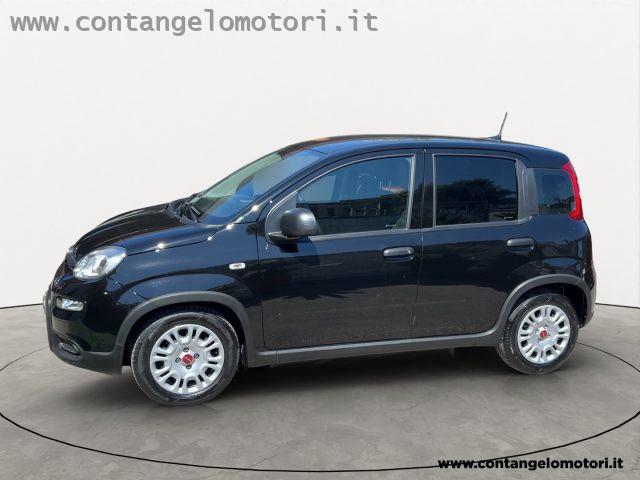 FIAT Panda 1.0 FireFly S&S Hybrid unico proprietario
