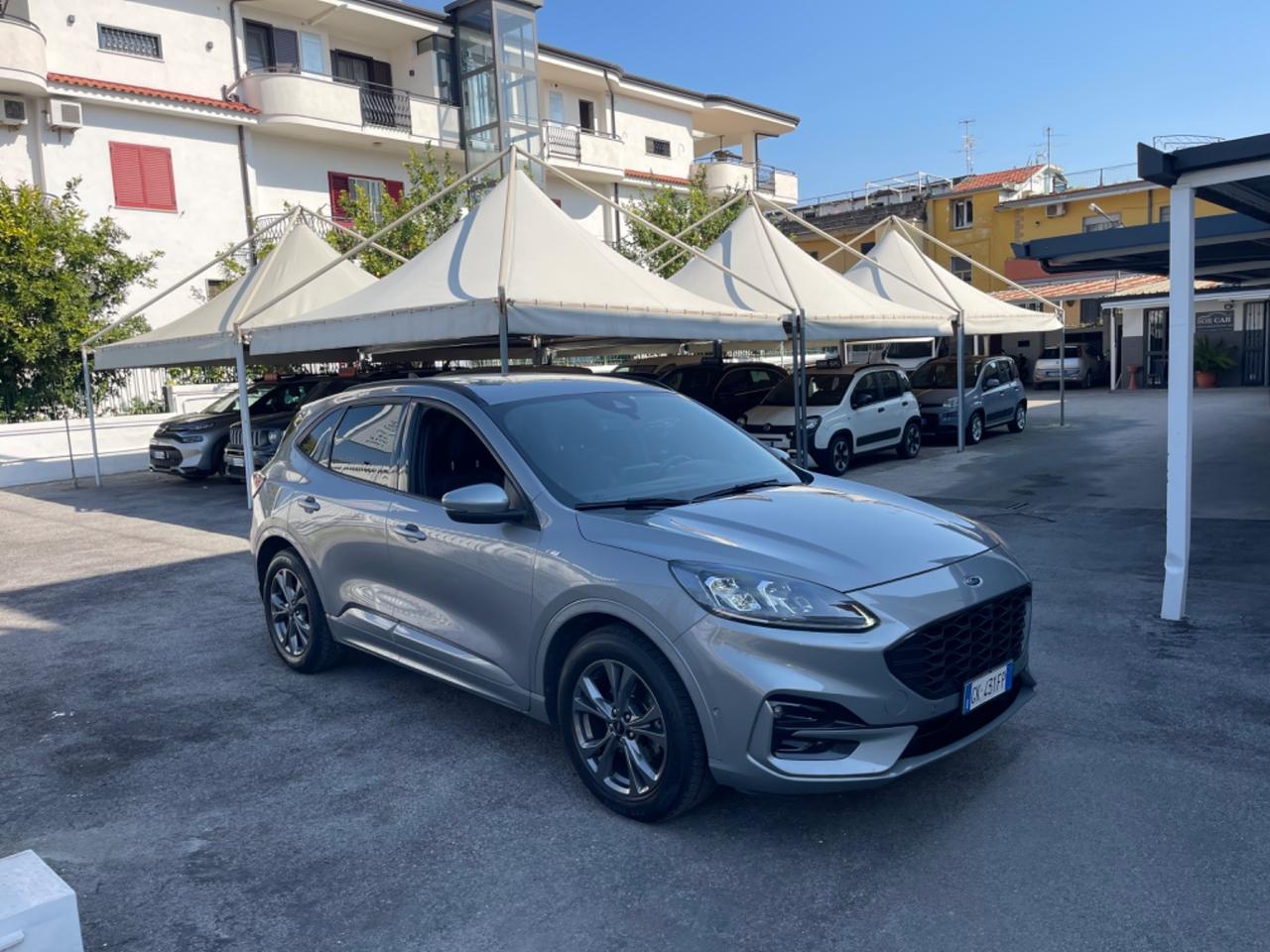Ford Kuga 1.5 EcoBlue 120 CV aut. 2WD ST-Line X KM CERTIFICATI