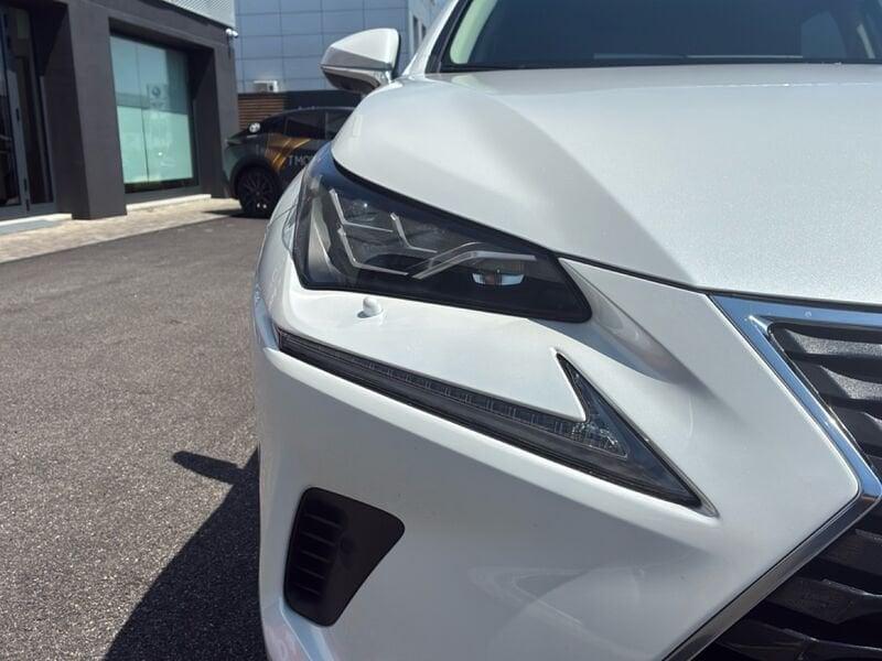 Lexus NX NX 300h 2.5 Luxury 4wd cvt