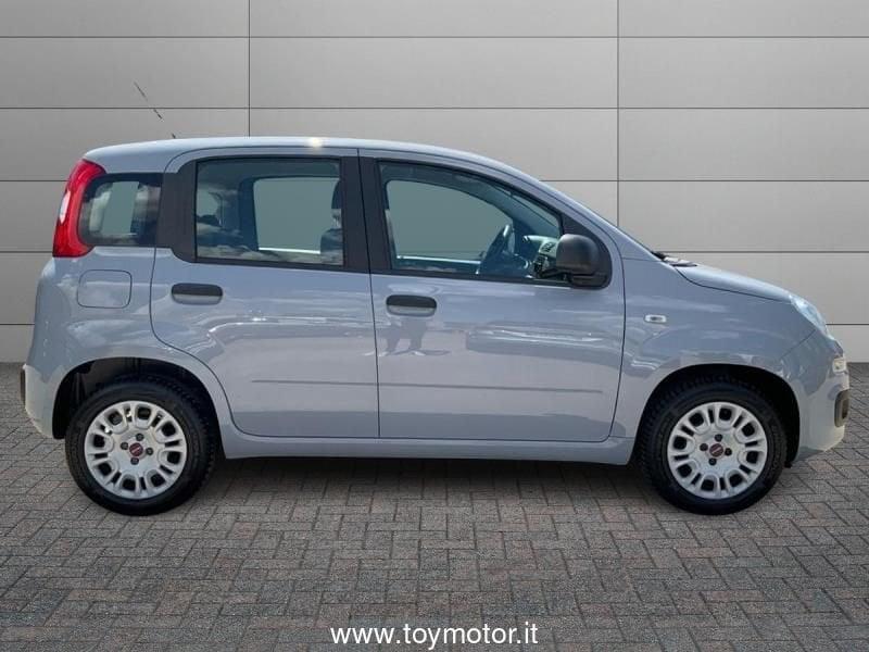 FIAT Panda 3ª serie 1.2 Easy