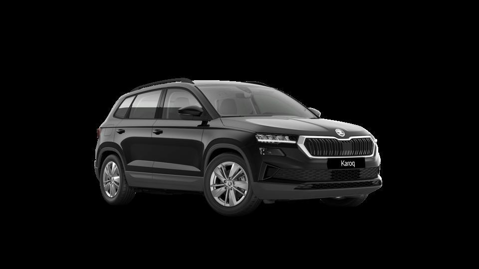 Skoda Karoq 2.0 tdi evo Executive 115cv
