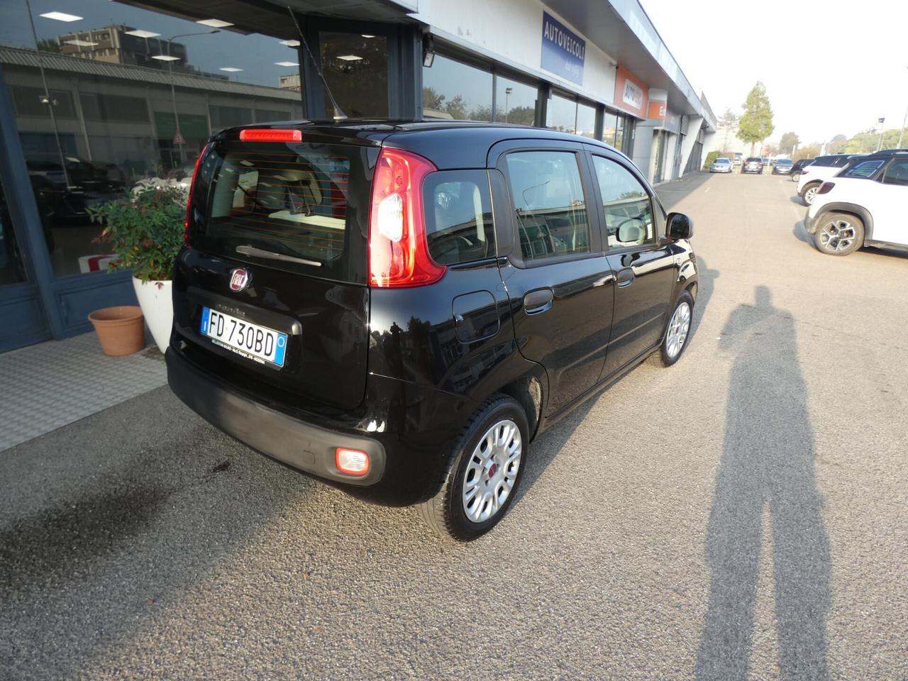 FIAT Panda 3ª serie Panda 1.2 Easy