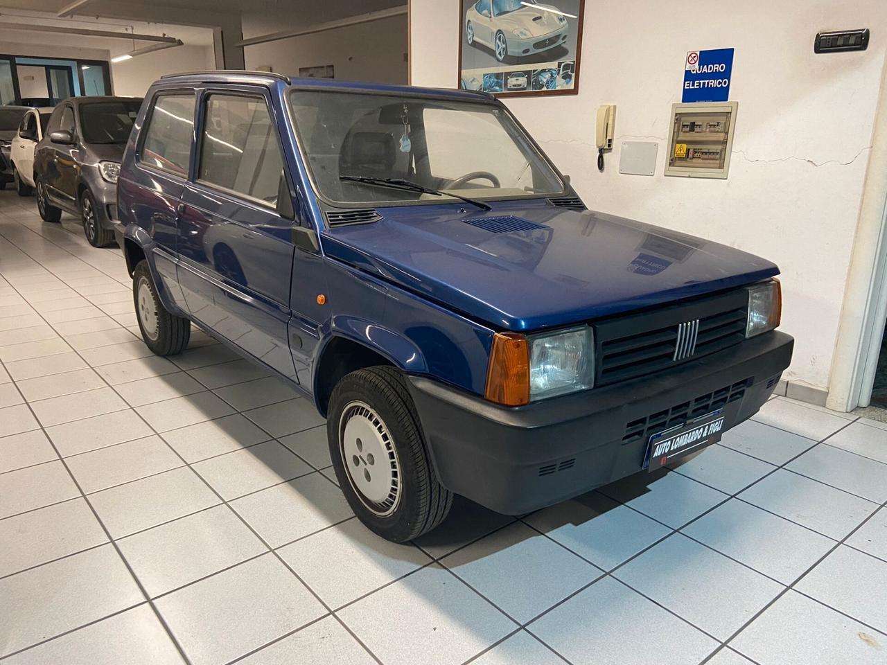 Fiat Panda 900 i.e. cat Young