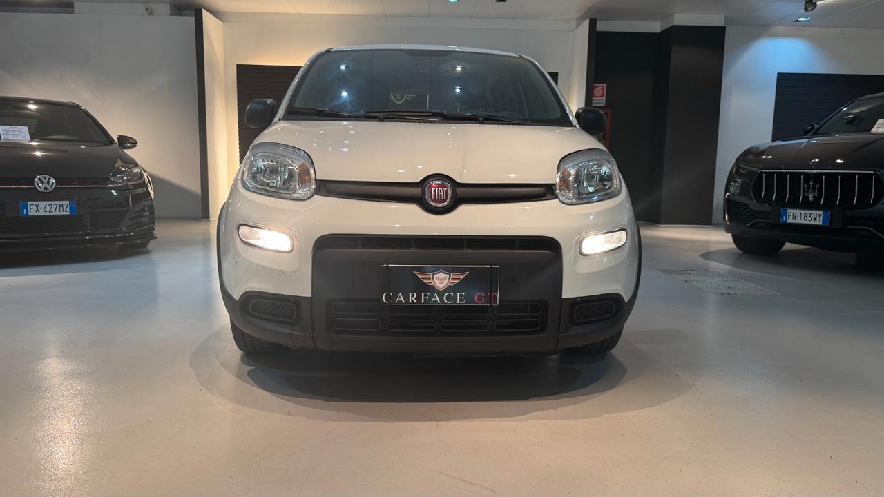 FIAT PANDA 1.0 70CV - 2023