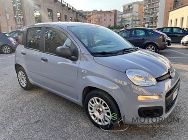 Fiat Panda 1.0 firefly hybrid s&s 70cv 5p.ti