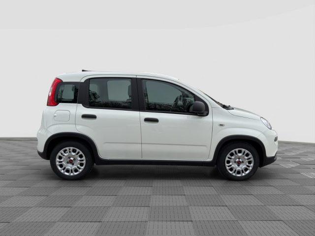 FIAT Panda Panda 1.0 FireFly S&S Hybrid