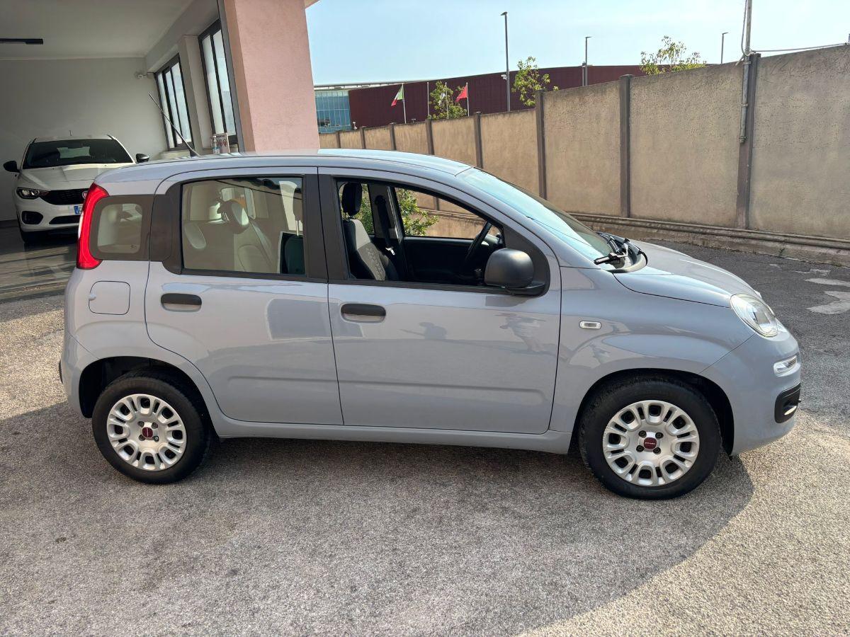 FIAT Panda 1.2 EasyPower Easy GPL