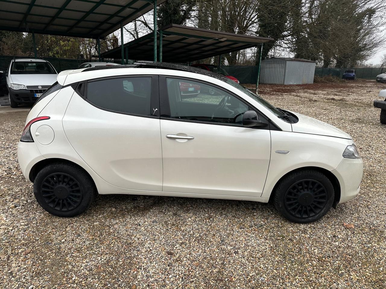 Lancia Ypsilon 1.2 69 CV 5 porte S&S Platinum