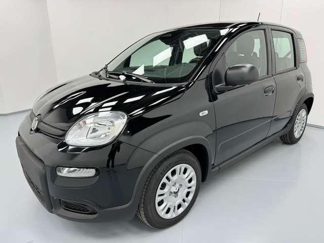 Fiat Panda *PANDINA* 1.0 HYBRID 69CV*CRUISE+SENSORI*ONLYPROMO