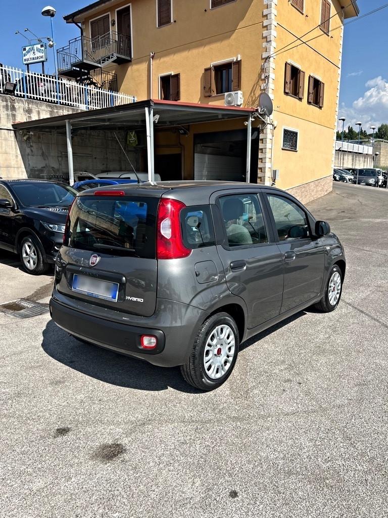 Fiat Panda 1.0 FireFly 70cv km 39.000 2021