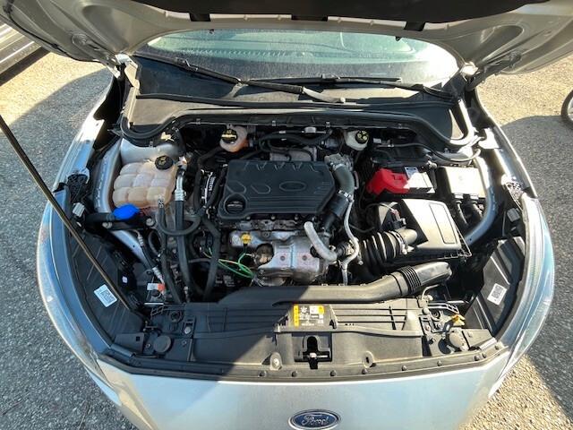 Ford Focus 1.5 EcoBlue 120 CV automatico SW Business Co-Pilot