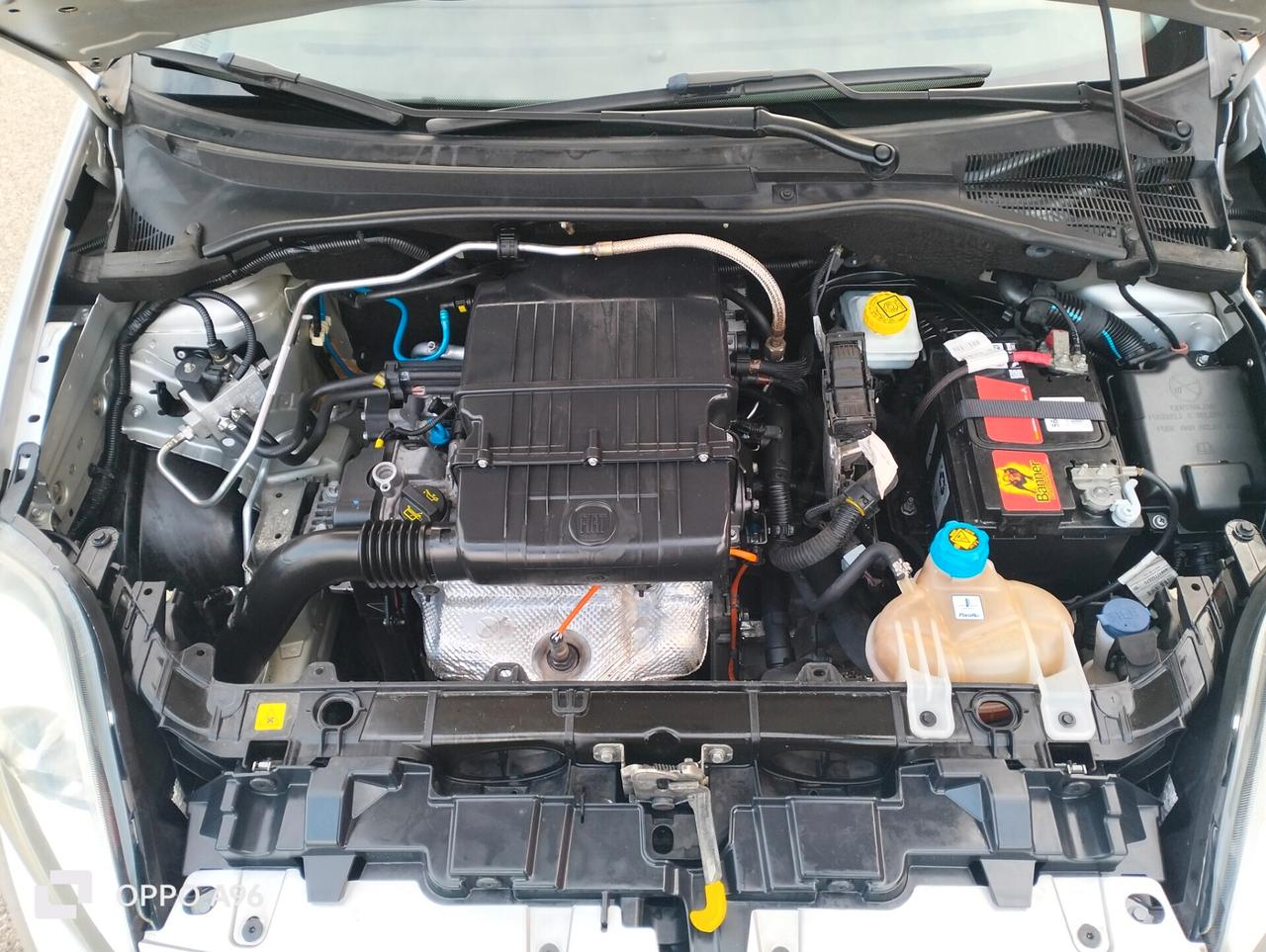 Fiat Punto Evo Lounge