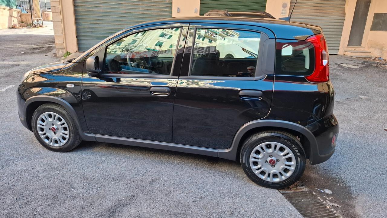 Fiat Panda 1.0 FireFly S&S Hybrid City Life