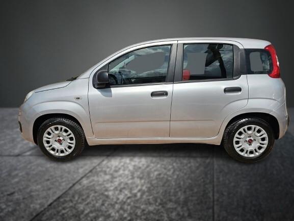 FIAT PANDA 1.2 69cv BUSINESS