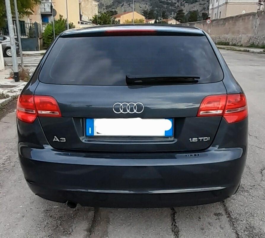 Audi A3 SPB 1.6 TDI CR F.AP. Young Edition