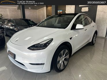 Tesla Model Y Long Range Dual Motor AWD #6076