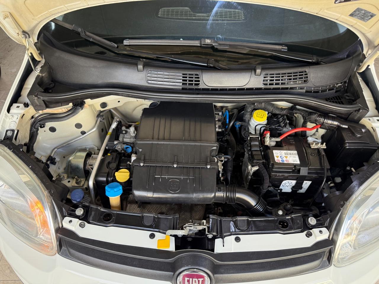 Fiat Panda 1.2 Lounge