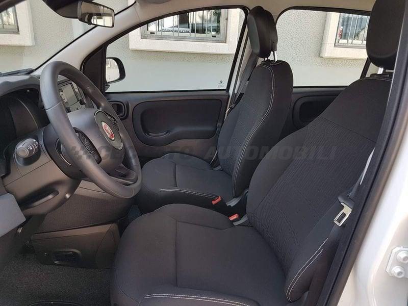 FIAT Panda Panda 1.0 firefly hybrid s&s 70cv