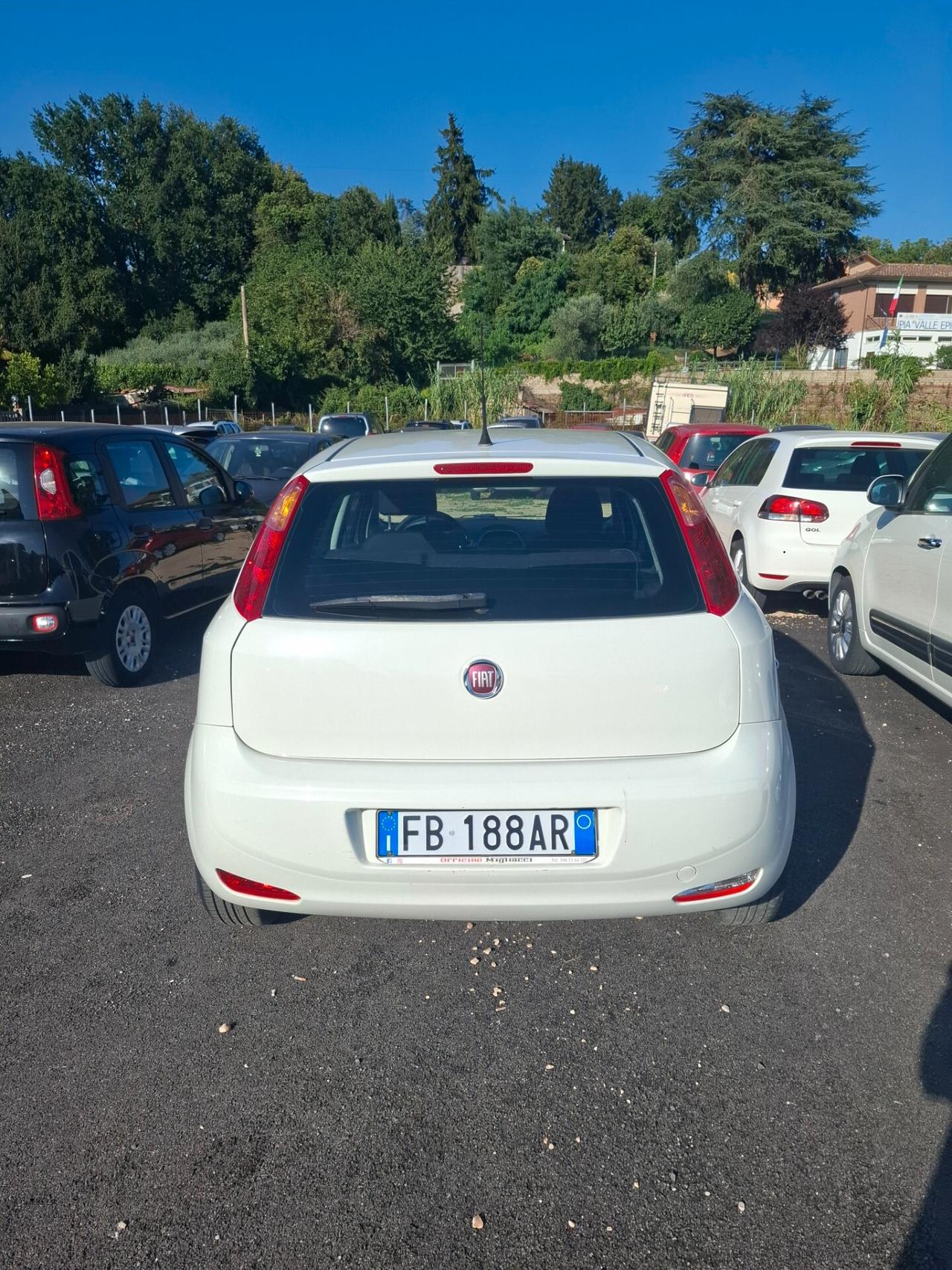 Fiat Punto 1.2 8V 5 porte Street NEOPATENTATI
