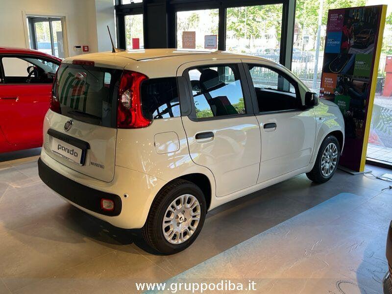 FIAT Panda 1BH 1.0 70cv Hybrid Icon