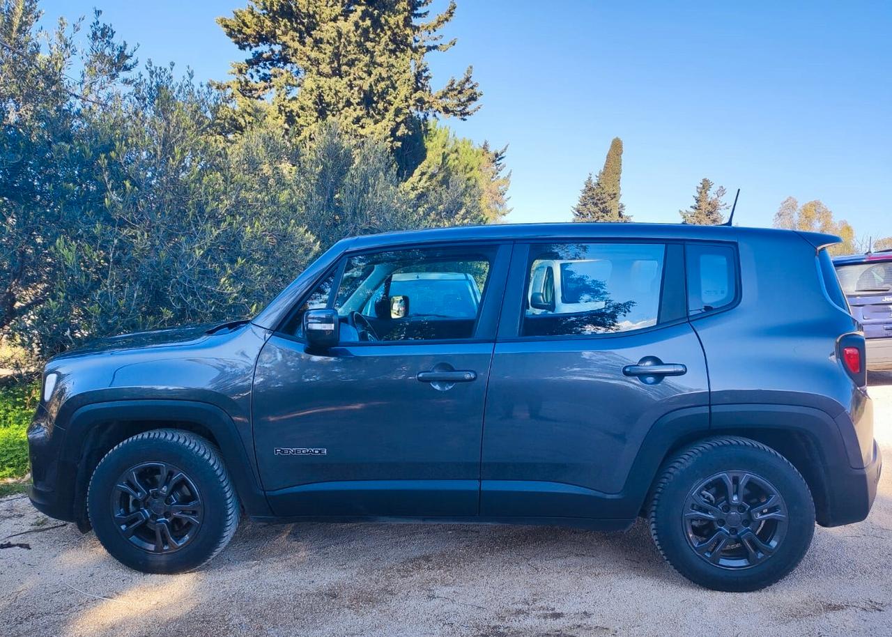 Jeep Renegade 1.6 Mjt 120 CV Business