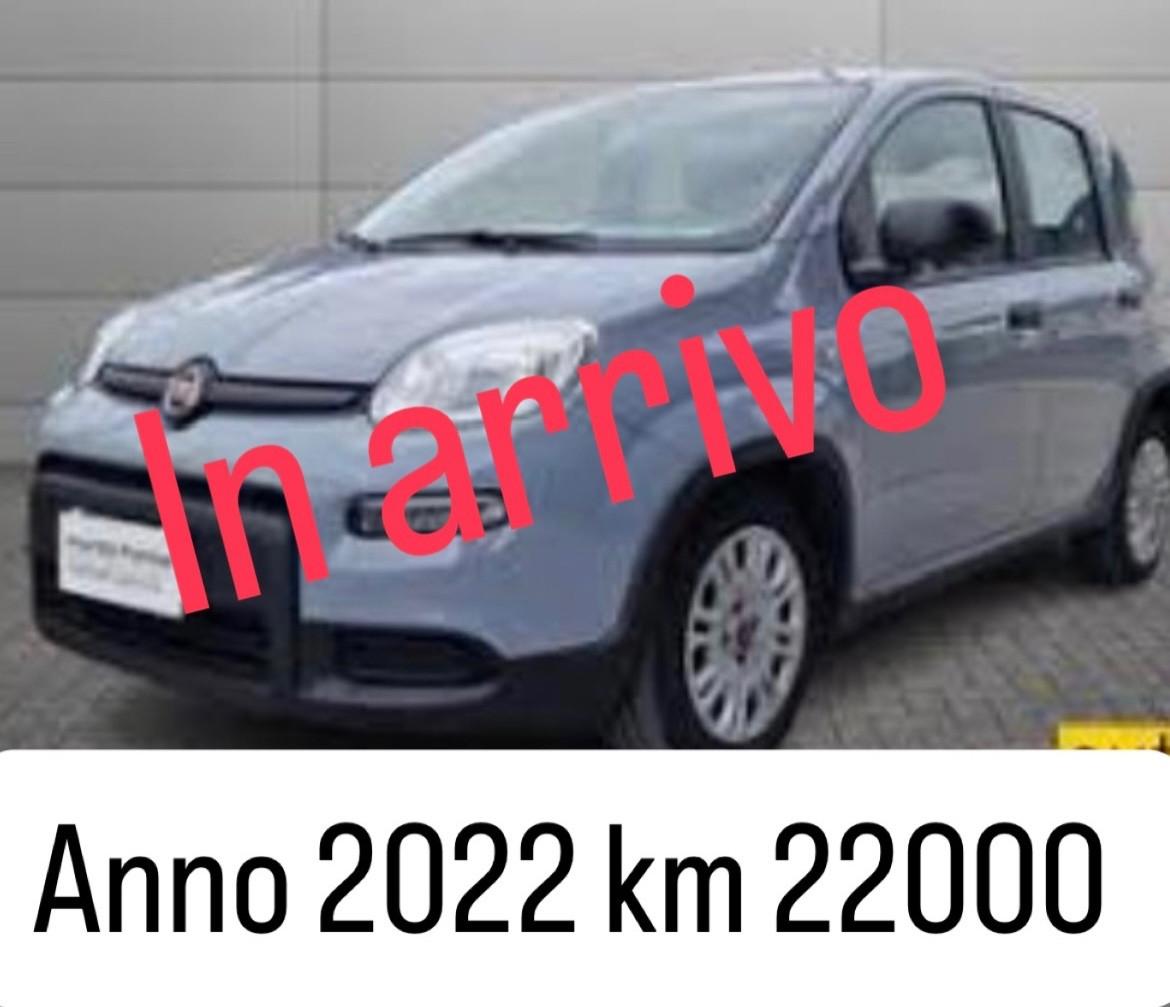 Fiat Panda 1.2 NESSUN. VINCOLO