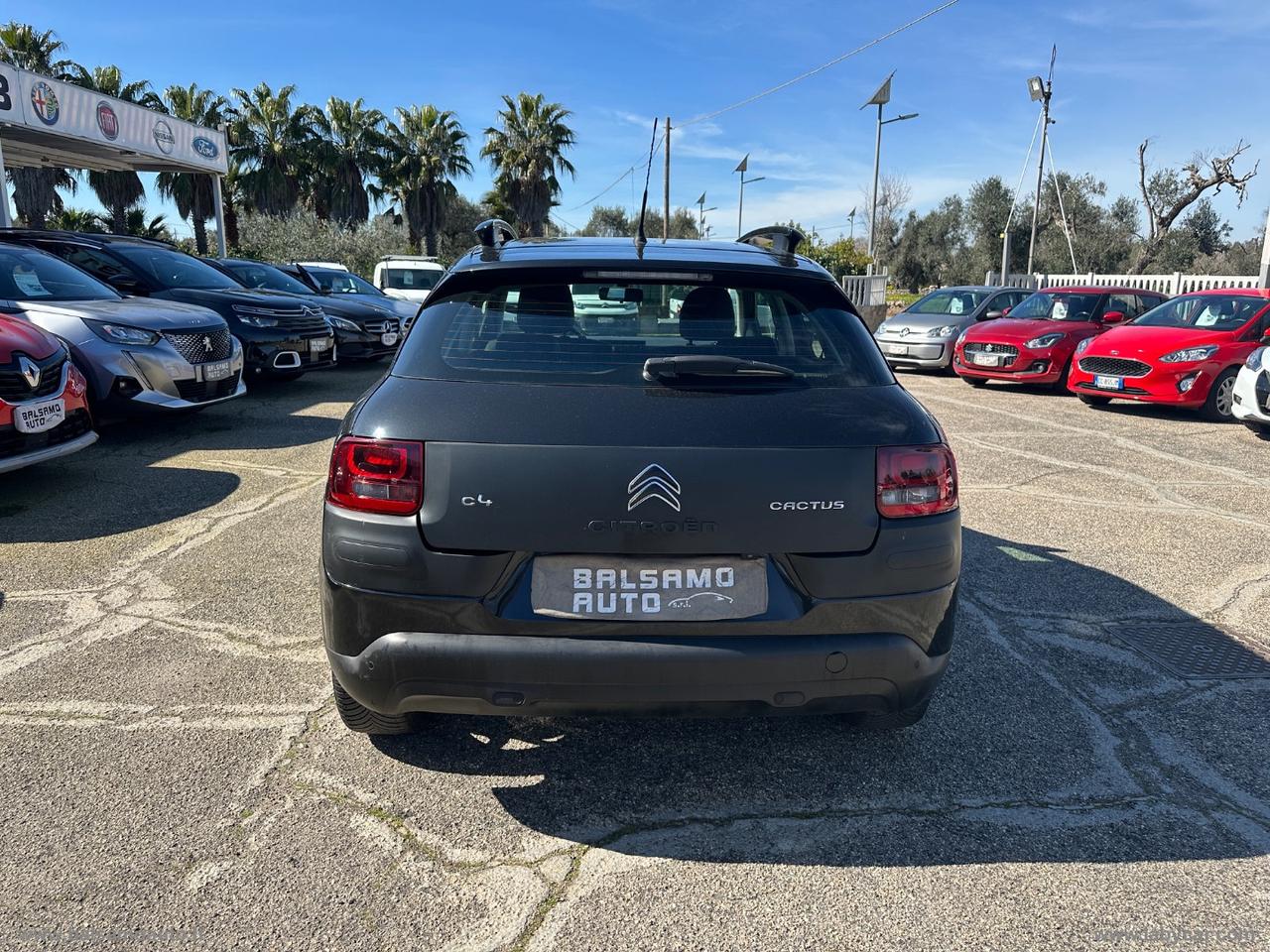 CITROEN C4 Cactus BlueHDi 100 Shine