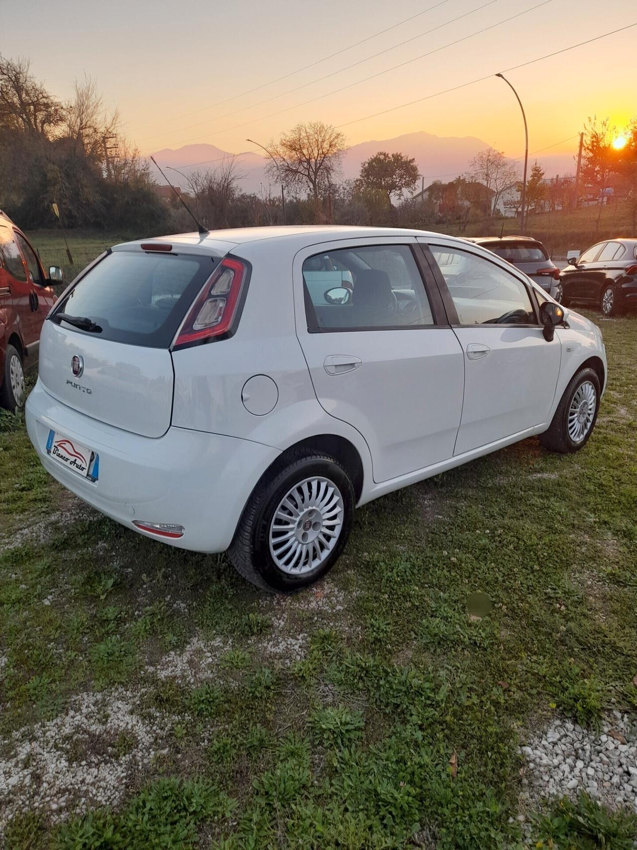 Fiat Punto 1.4 8V 5 porte Natural Power Easy