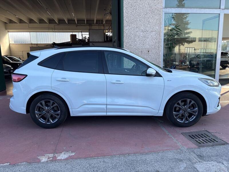 Ford Kuga Kuga 1.5 EcoBlue 120 CV aut. 2WD ST-Line