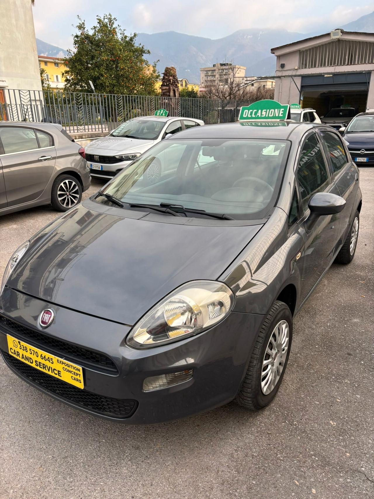 Fiat Punto 1.4 8V 5 porte Natural Power Street