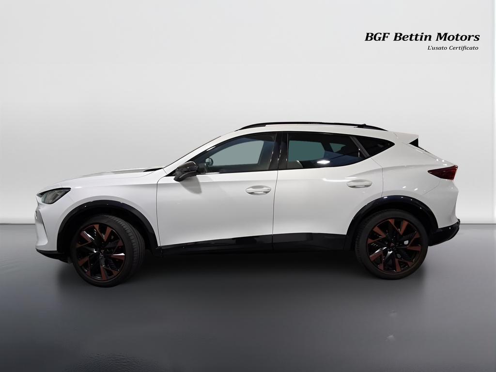 Cupra Formentor 2.0 tdi 150cv dsg