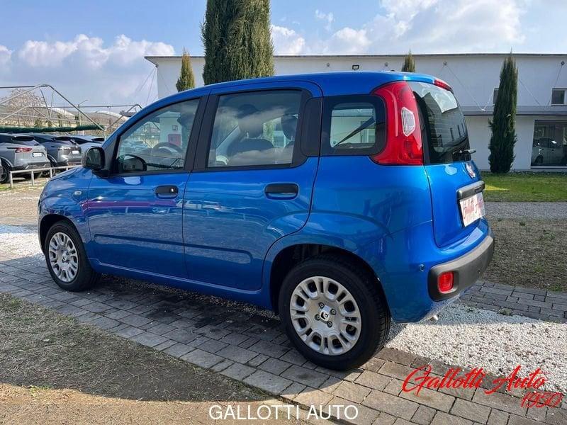 FIAT Panda 1.0 FireFly 70cv S&S Hybrid 4 p.ti - PROMO GALLOTTI