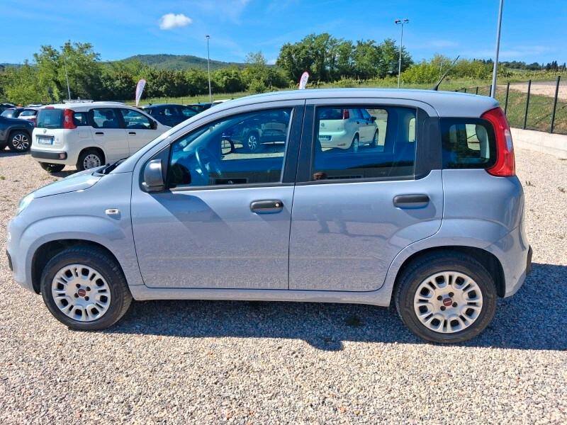 FIAT Panda 3ª serie Panda 1.2 Easy