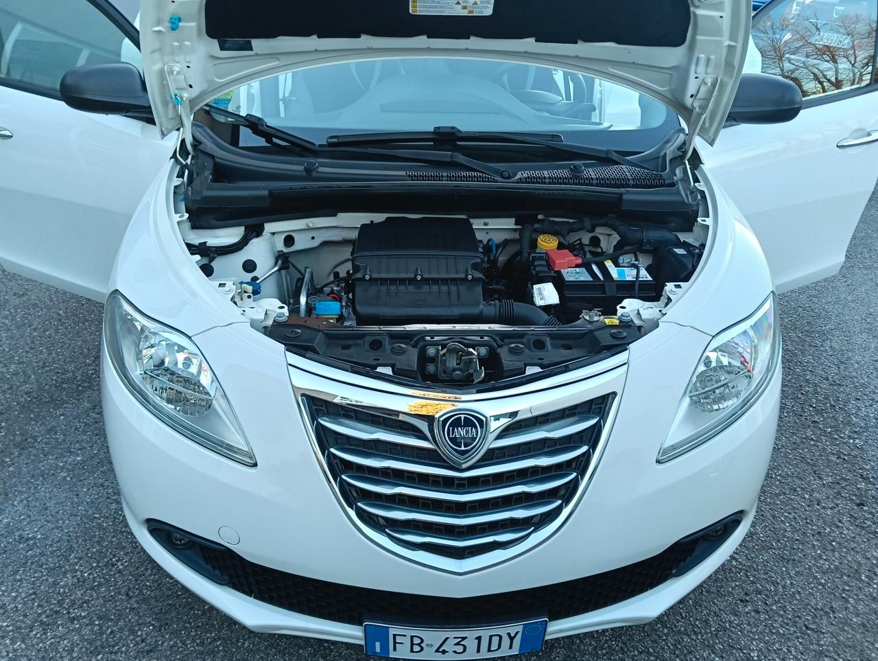 Lancia Ypsilon 1.2 69 CV 5 porte Gold