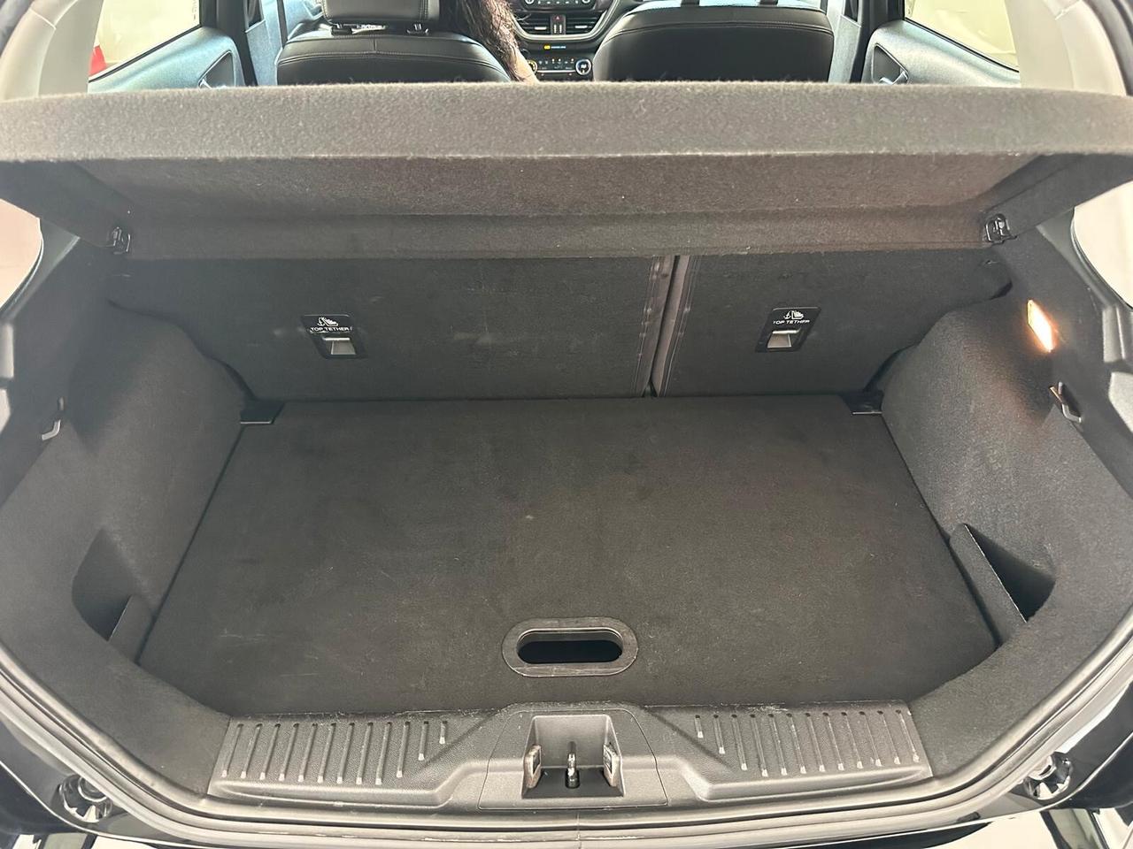 Ford Fiesta 1.5 EcoBlue 5 porte Vignale