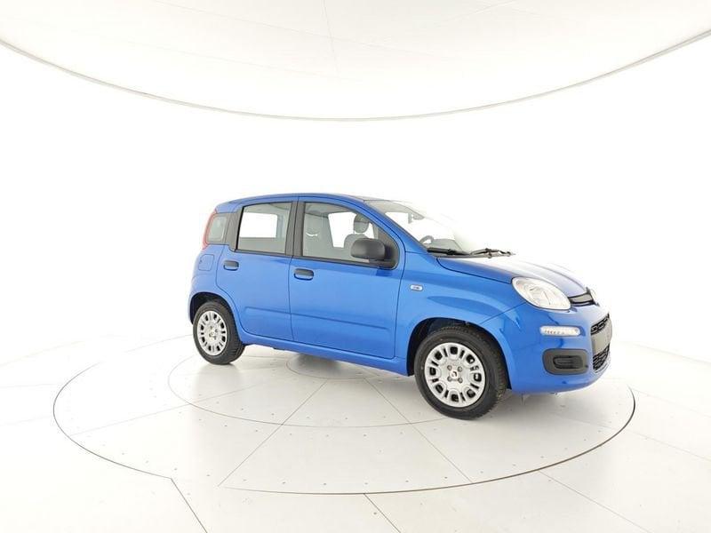 FIAT Pandina Panda 1.0 FireFly S&S Hybrid + Pack city + Vernice